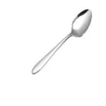 6pc Stainless Steel Spoon