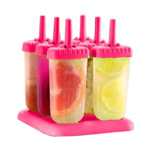 6pc Plastic Ice Rolly Mould